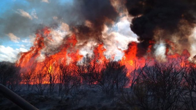 Ziliotto: “Proteger nuestros recursos naturales debe ser una cuestión y una política de Estado”