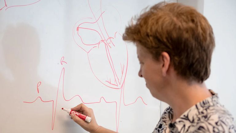 Importante hallazgo argentino permite el desarrollo de un marcapasos más avanzado