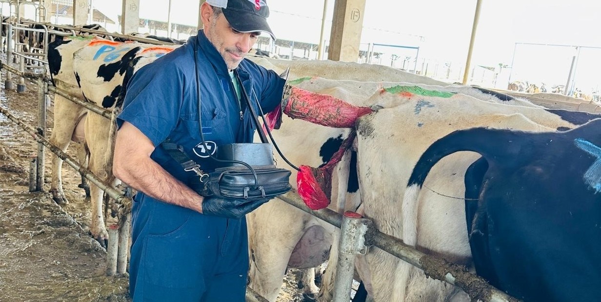 Tecnología y bienestar animal: los avances que revolucionaron la lechería en los últimos años