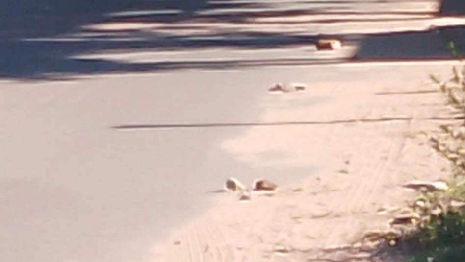 Santa Rosa: pelea entre bandas en Villa Germinal dejó a un menor con traumatismo de cráneo