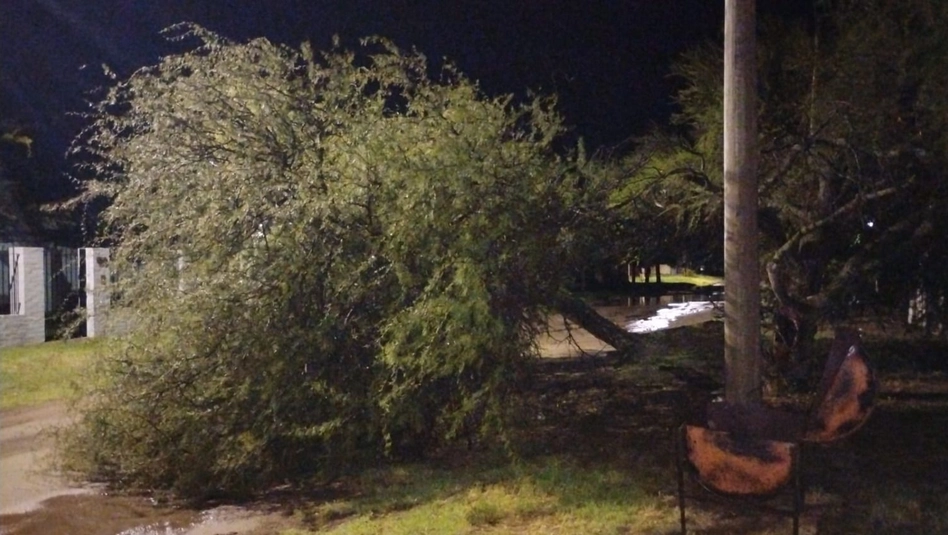 Santa Rosa: tormenta provocó caída de árboles, anegamientos y cortes de luz