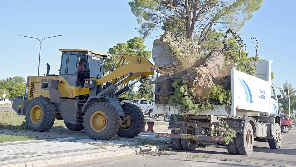 Santa Rosa: asisten a casi 200 familias tras el temporal y persisten zonas sin energía