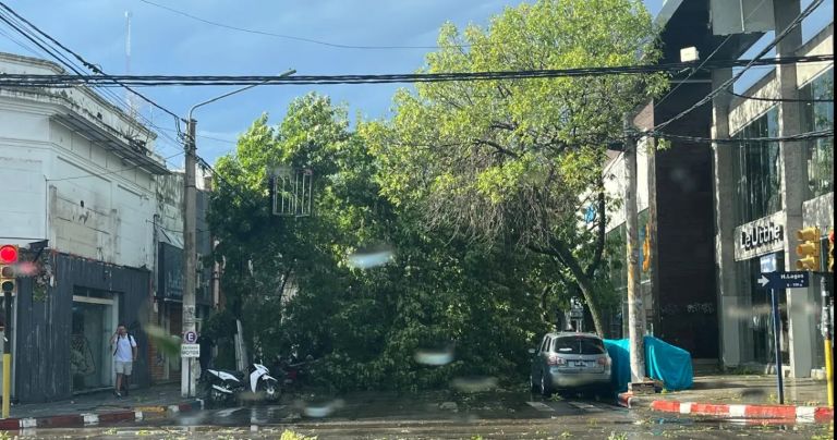 Santa Rosa: violento temporal con vientos huracanados dejó a la capital provincial con muchos daños y en alerta máxima