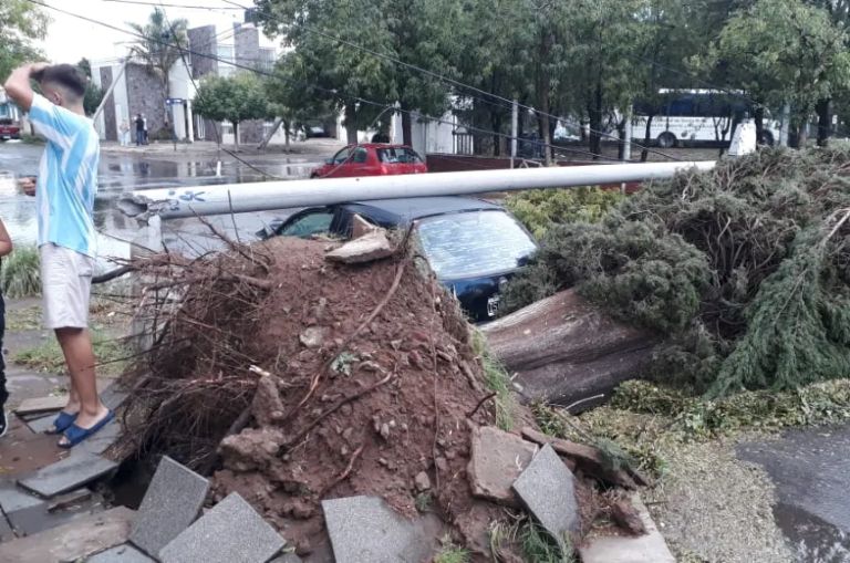 Santa Rosa: impactantes imágenes del daño que dejó el temporal que azotó a la capital