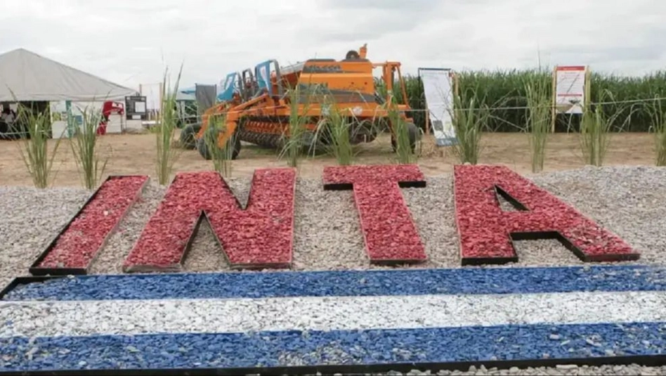 INTA: habilitan un plan de retiros voluntarios que apunta a reducir hasta 1.500 puestos